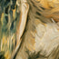 The Moonlit Owl
