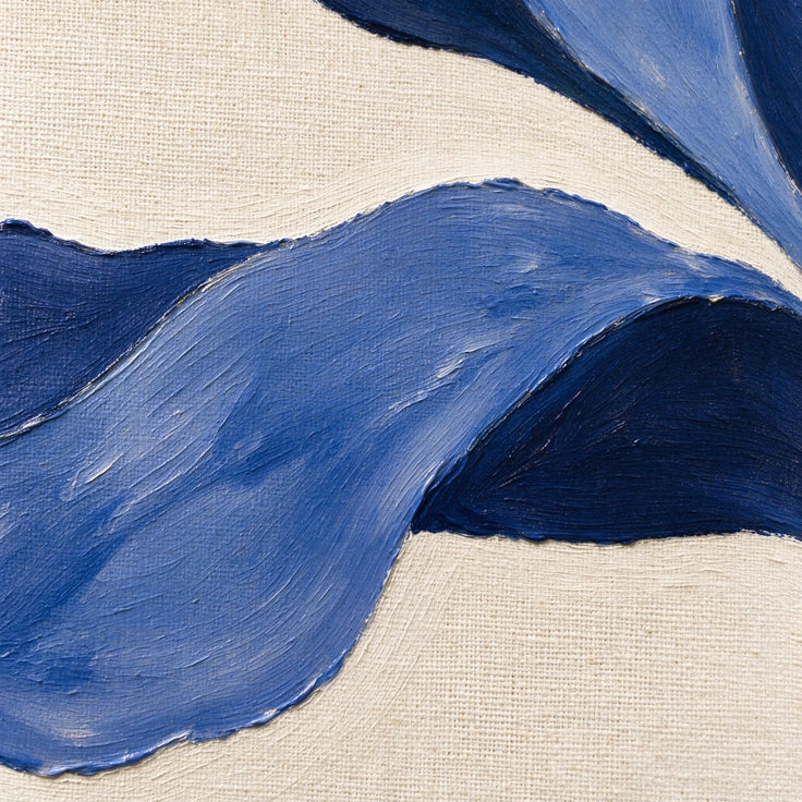 Midnight Blue Iris