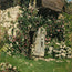 Blooming Cottage Garden
