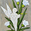 Star Angel Bloom