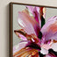 Blooming Iris